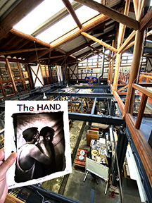 Holding Hands Across the World